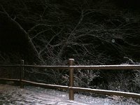 photos 2000-200902256